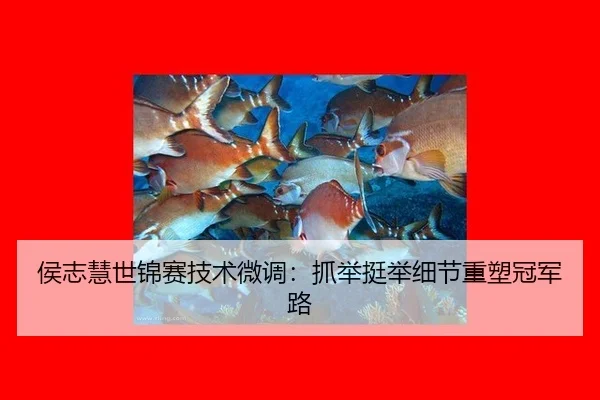 侯志慧世锦赛技术微调：抓举挺举细节重塑冠军路